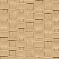 7685 Almond