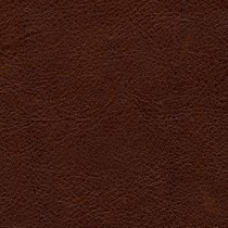 Chestnut