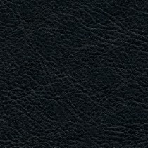 Patagonia
