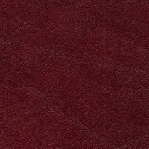7766 Wine