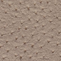 7238 MOCHA